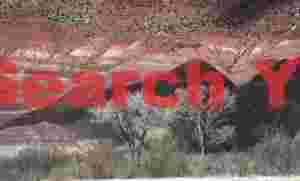 Living Trees Among Ancient Badlands Formation