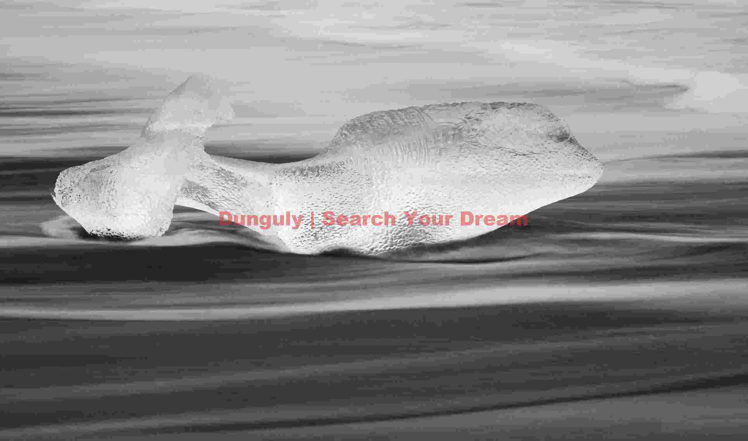 Glacial Ice Formation at Beached fish Jökulberg, Jökulsárlón, Iceland