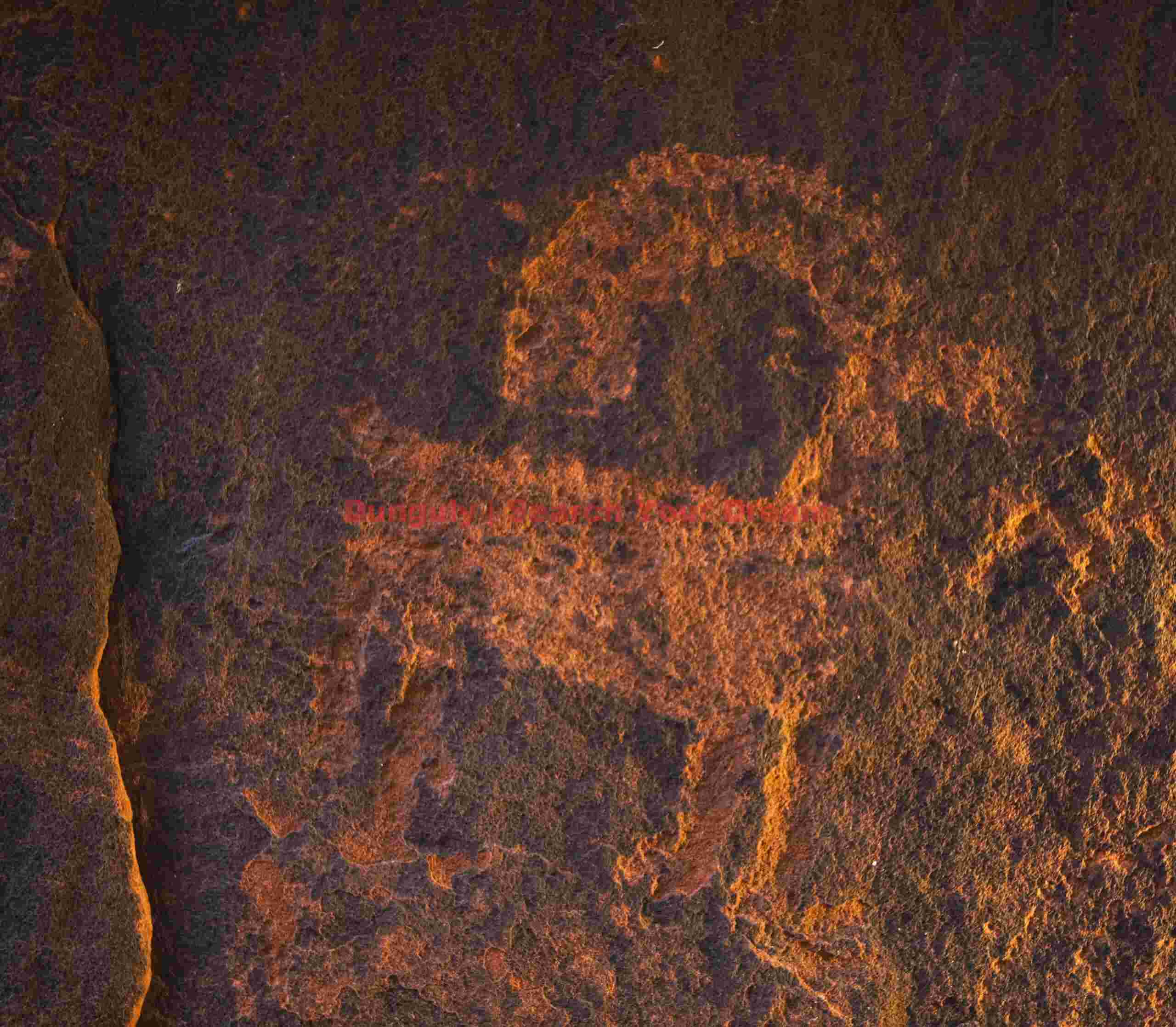 Bighorn Sheep Petroglyphs at Petroglyph Canyon, Zion