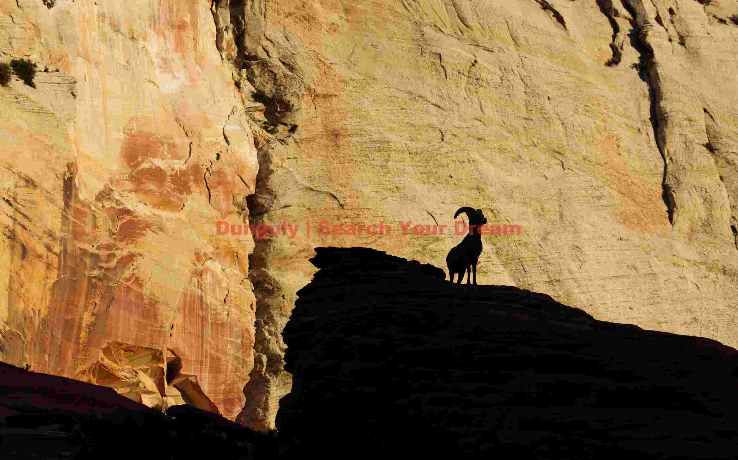 Big horn sheep sillhouette; Zion plateau