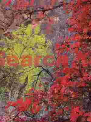 Autumn Symphony in Zion Canyon