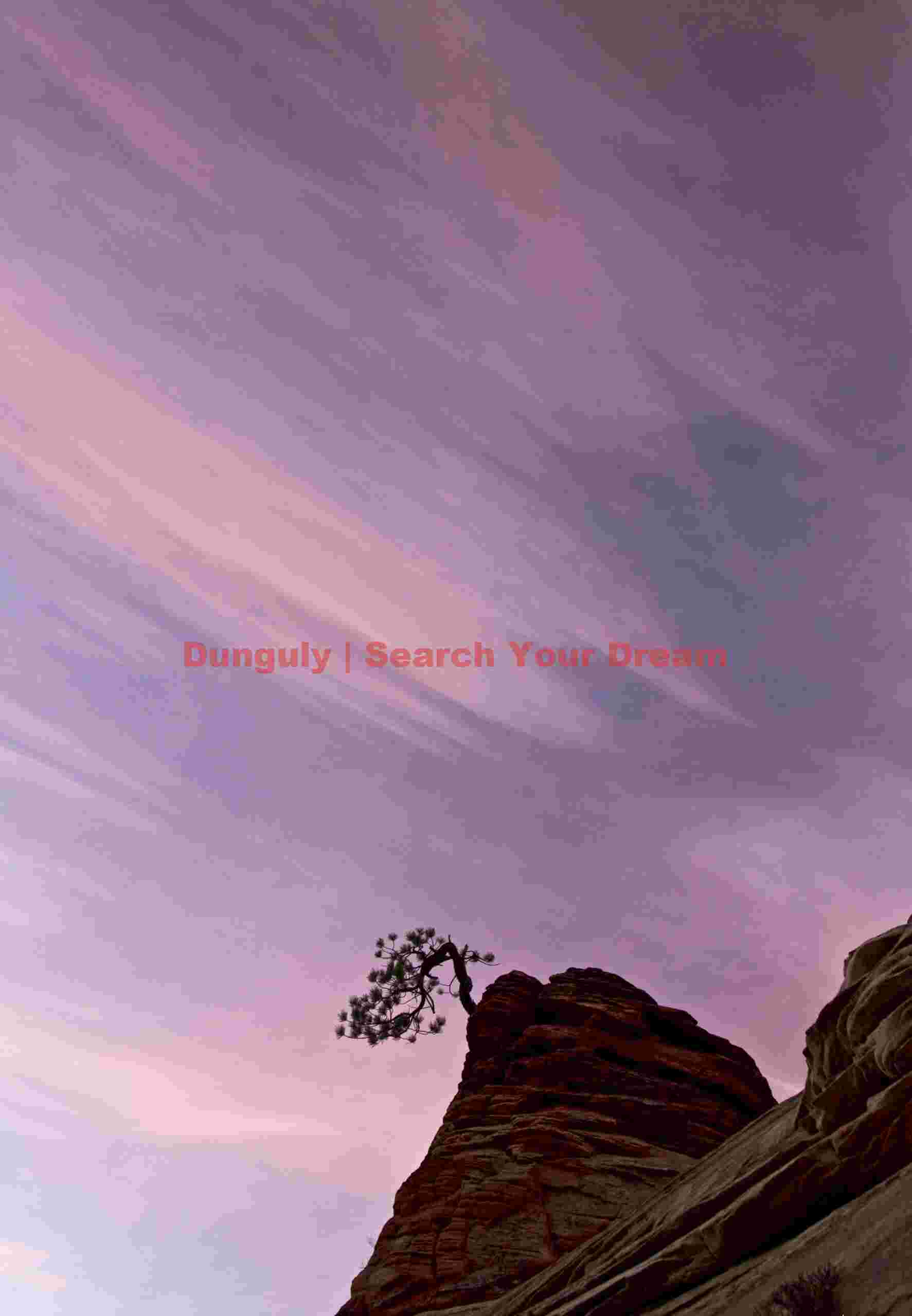 Bonsai tree and magenta sunrise clouds, Zion plateau