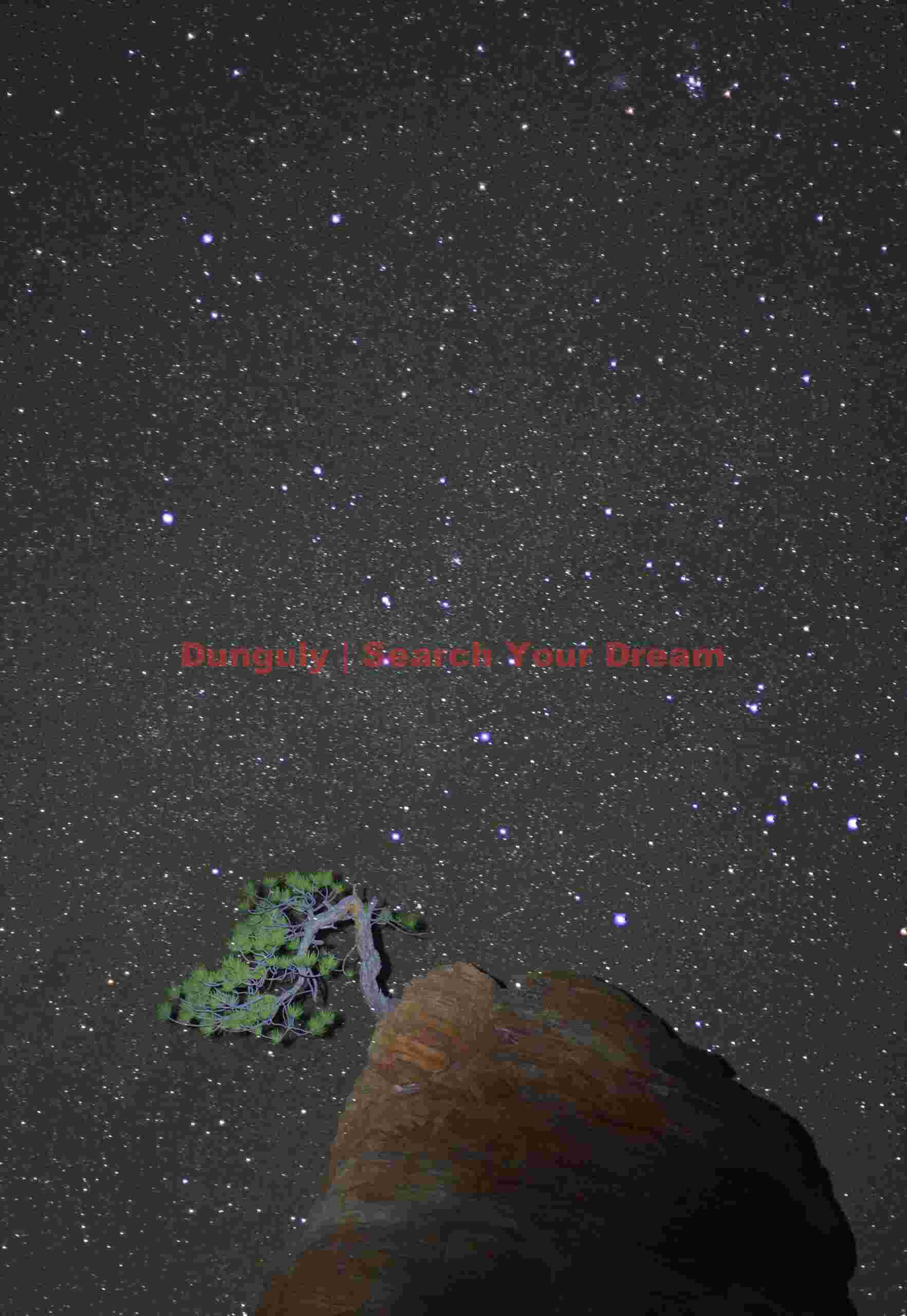 Bonsai tree and starscape, Zion Plateau
