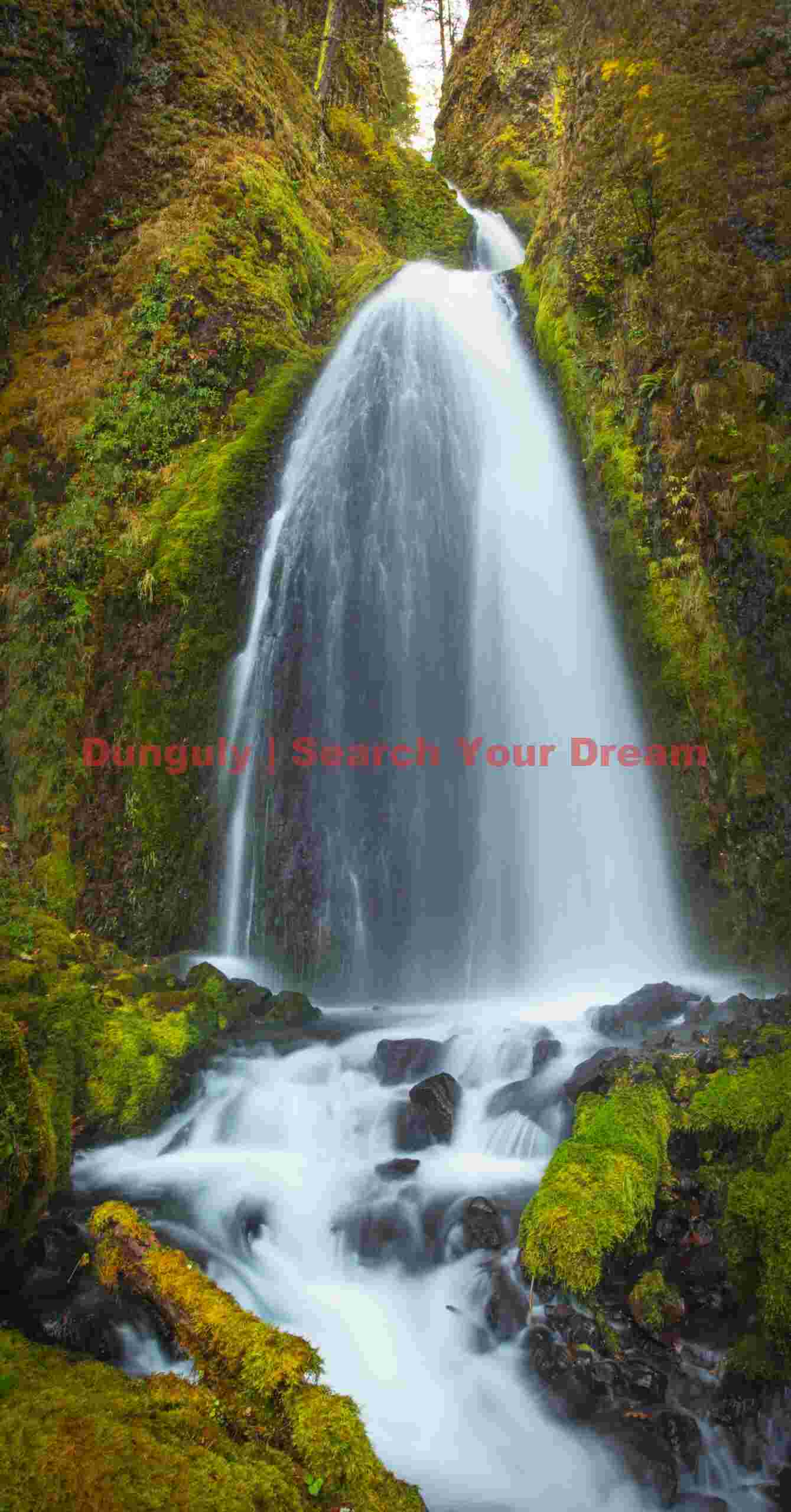 Bridal Veil Falls With Moss, Columbia River Gorge, Oregon
