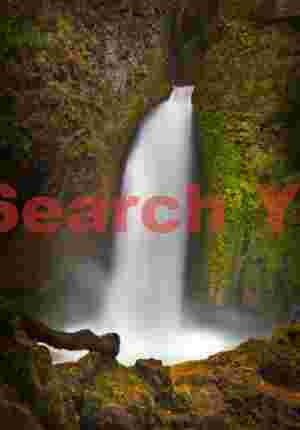 Bridal Veil Falls With Log, Columbia River Gorge, Oregon