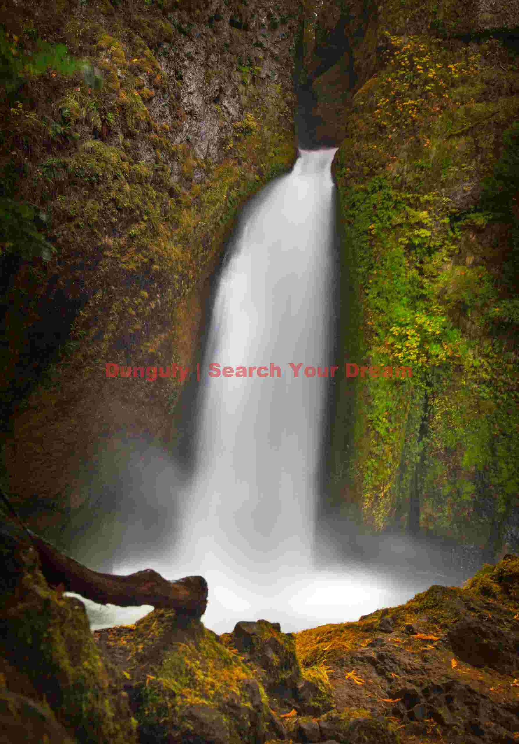 Bridal Veil Falls With Log, Columbia River Gorge, Oregon