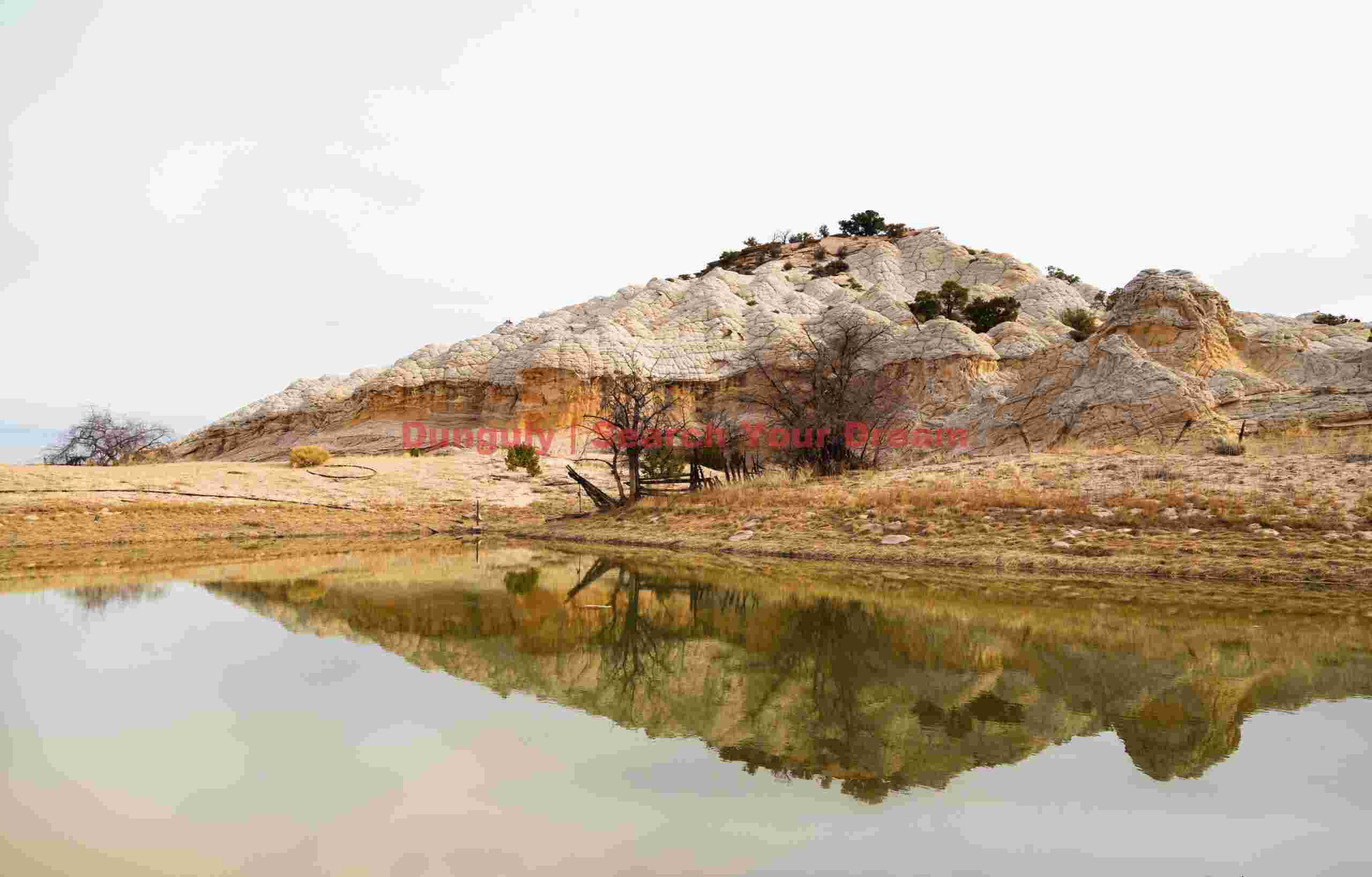 Oasis in the Wilderness