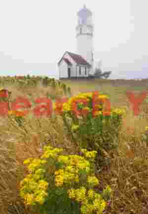 Coastal Guardian Tower