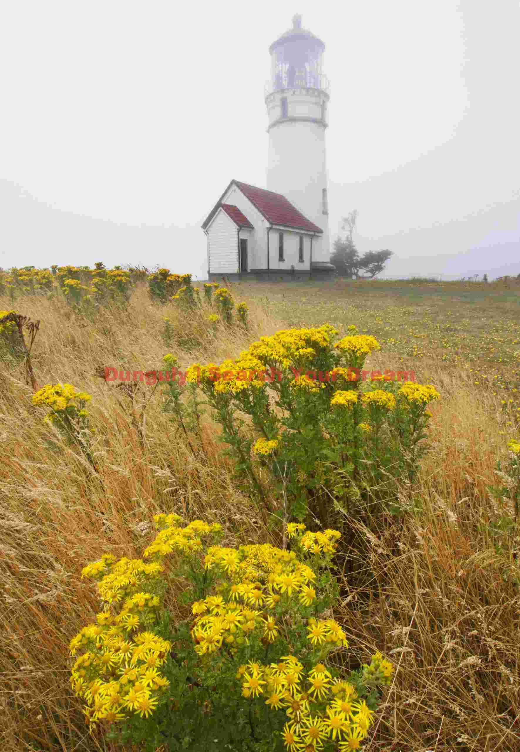 Coastal Guardian Tower
