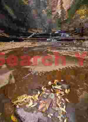 Autumn Waters - Cascade Through Fall Foliage