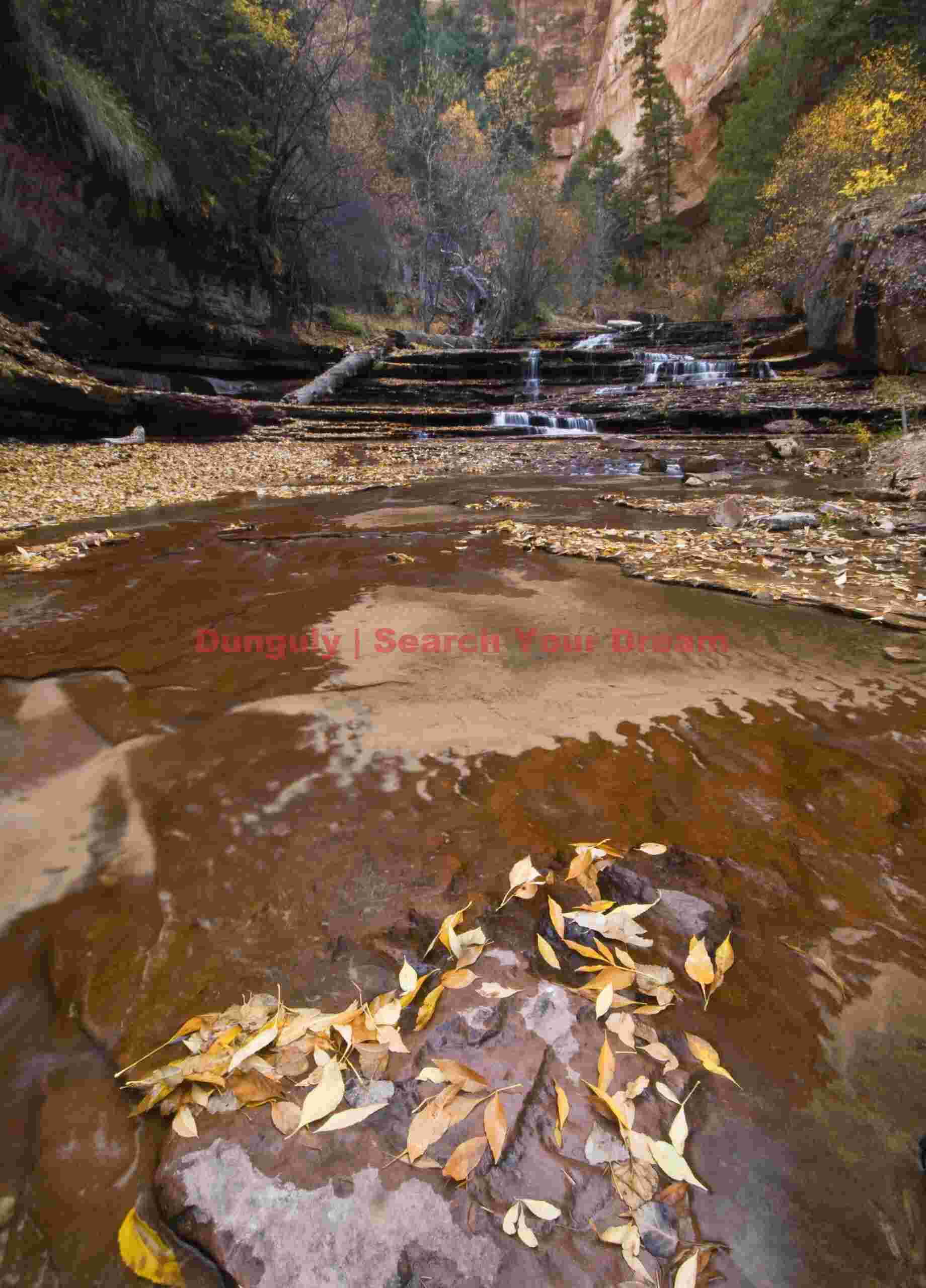 Autumn Waters - Cascade Through Fall Foliage