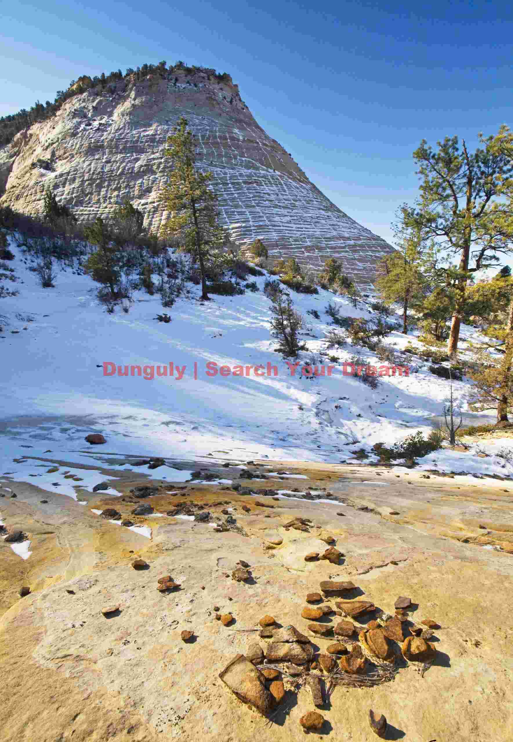 Checkerboard Mesa outlined in snow; Zion