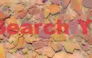 Nature's Abstract Canvas