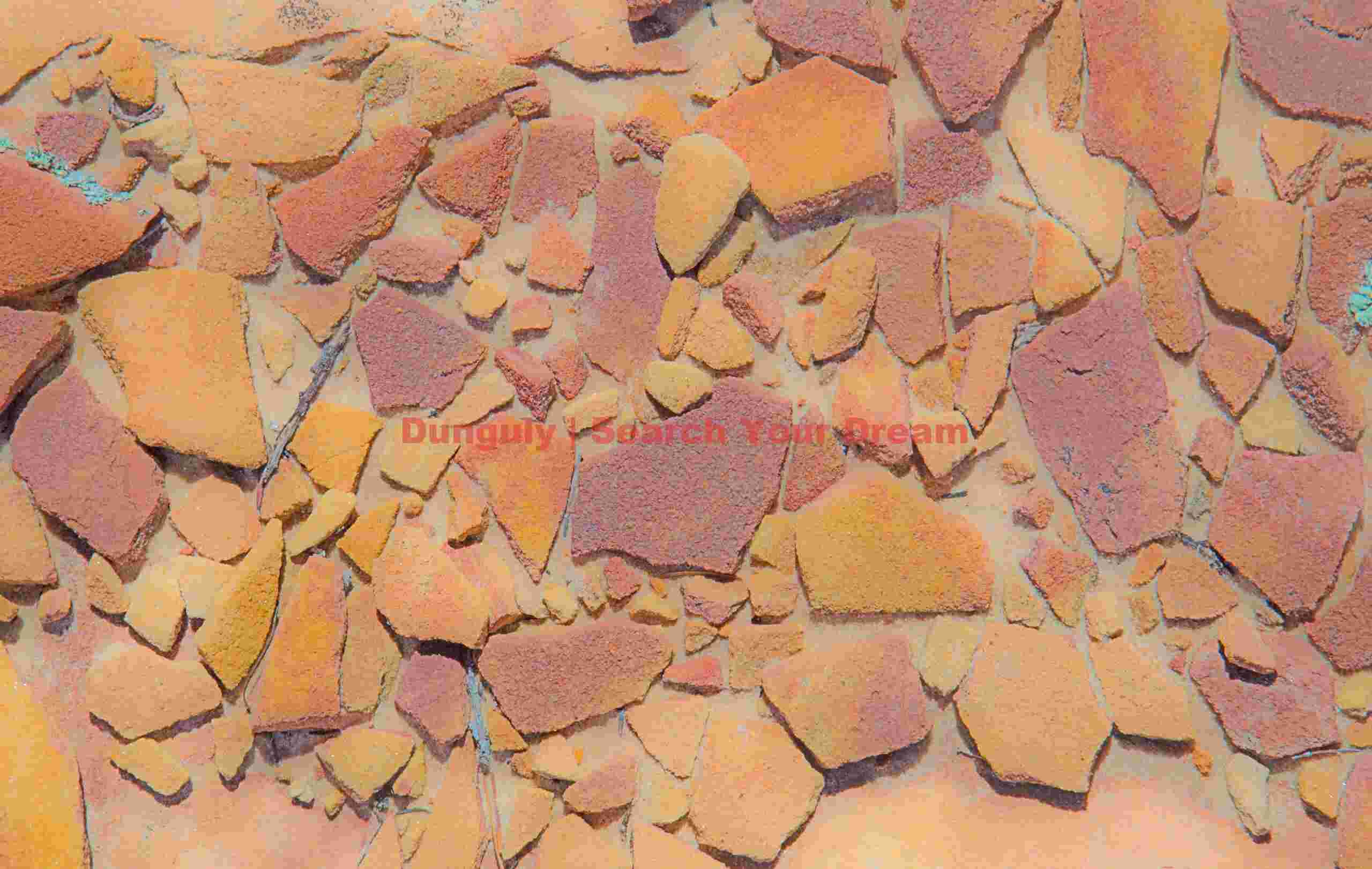 Nature's Abstract Canvas