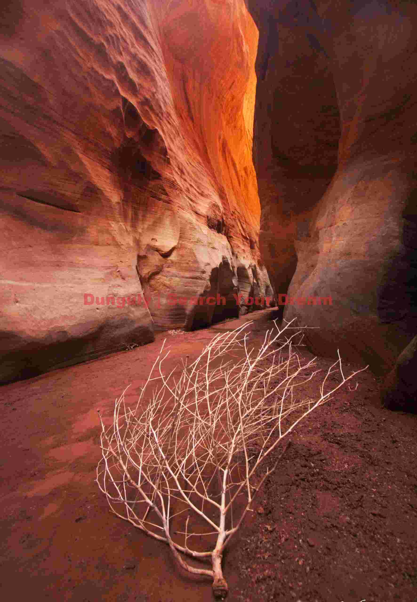 Where Two Canyons Meet: Buckskin Confluence