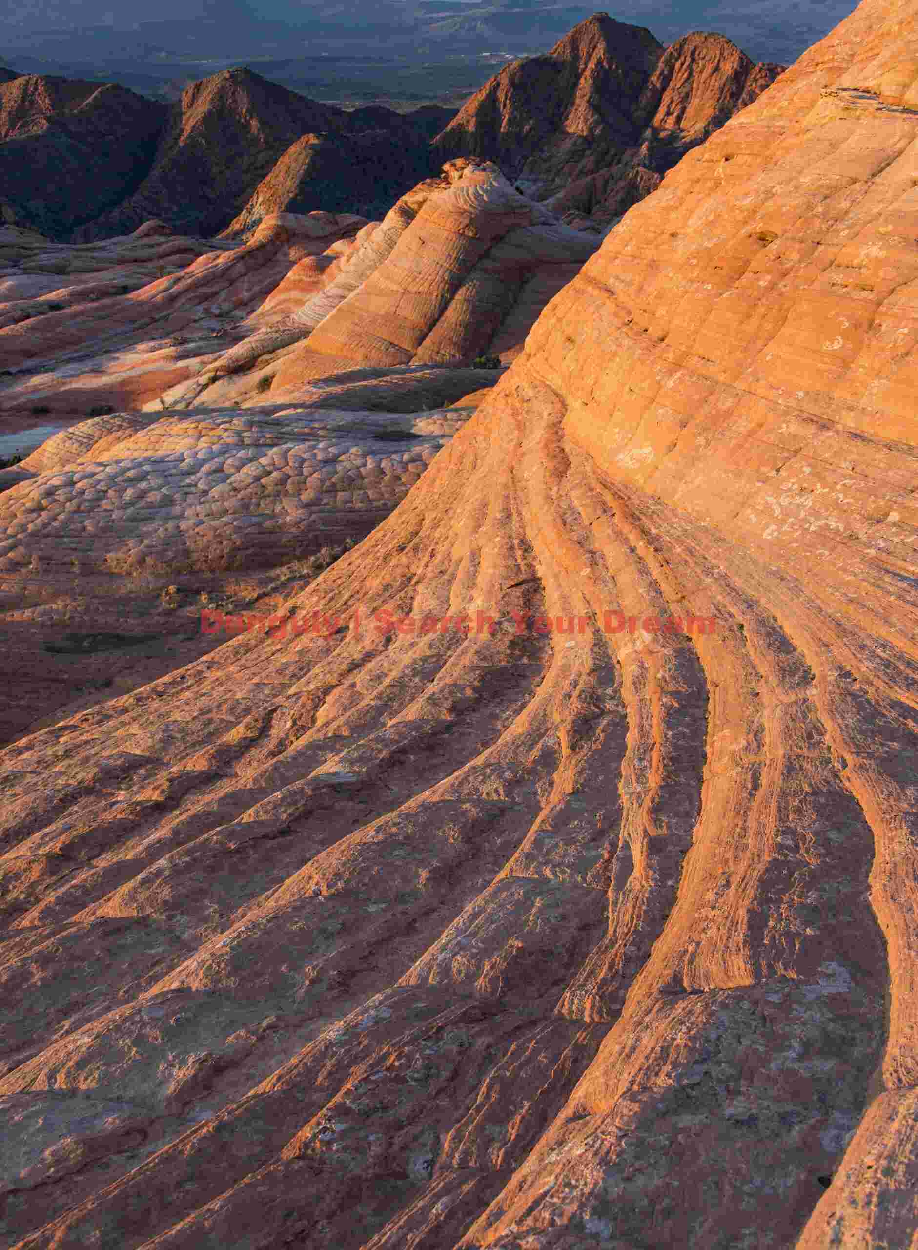 Converging stripes - Yant Flat - Utah