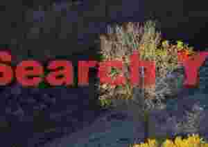 Cottonwood canyon sillhouette, Zion Natl. Park, Utah