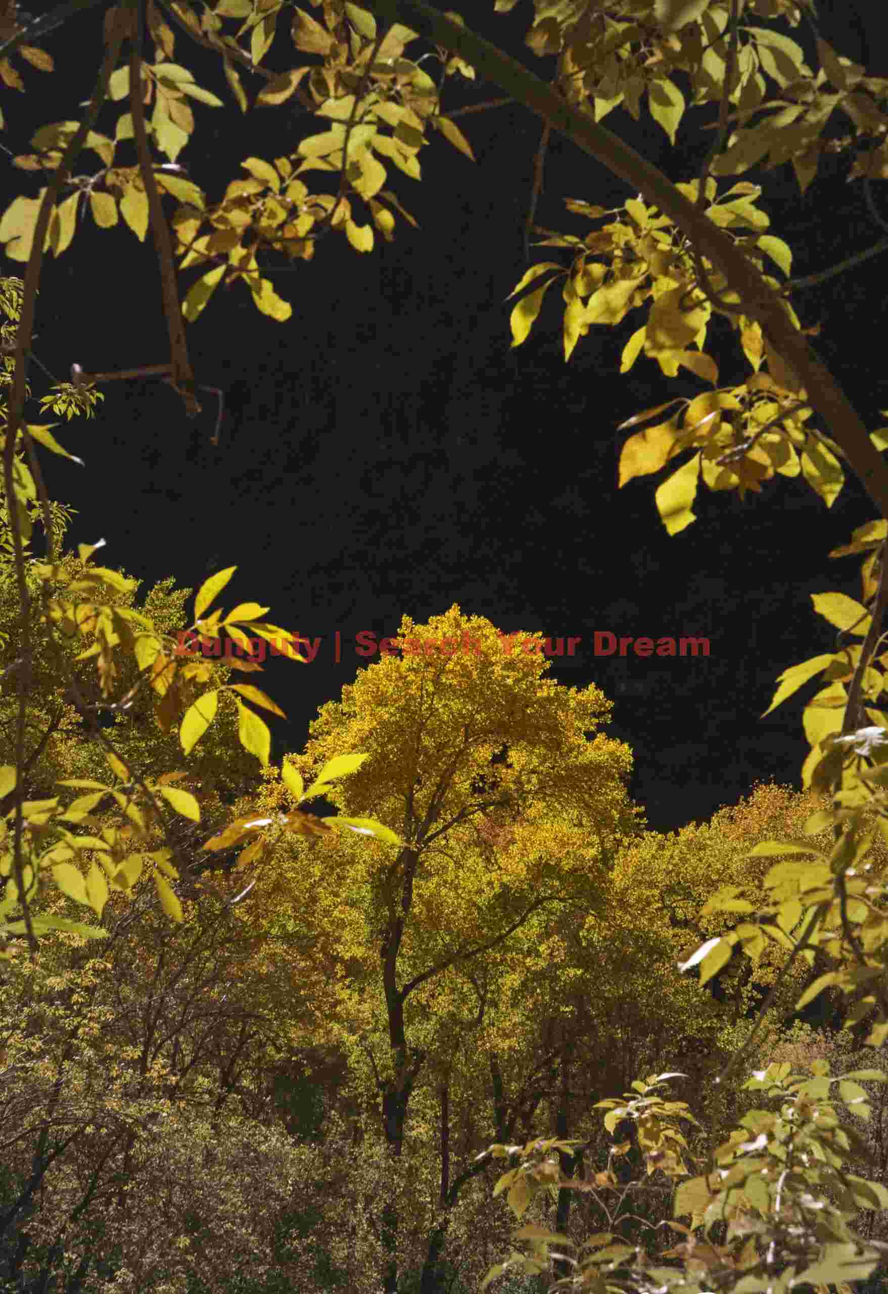 Natural Window to Zion