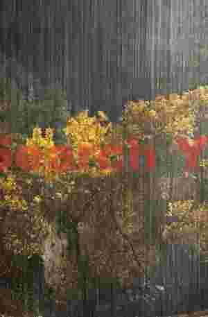 Cottonwoods Behind the Veil