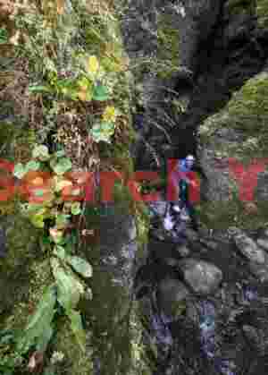 Glacial Ice Formation at Descending the green cleft