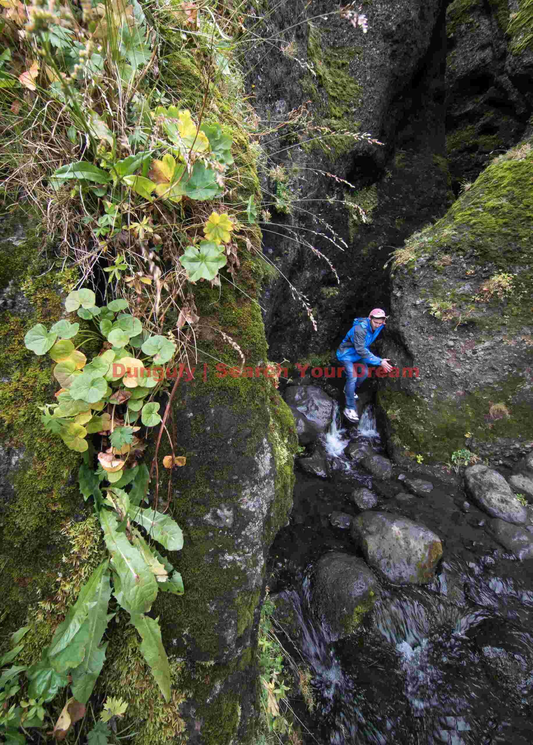 Glacial Ice Formation at Descending the green cleft