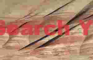 Striated Geological Study