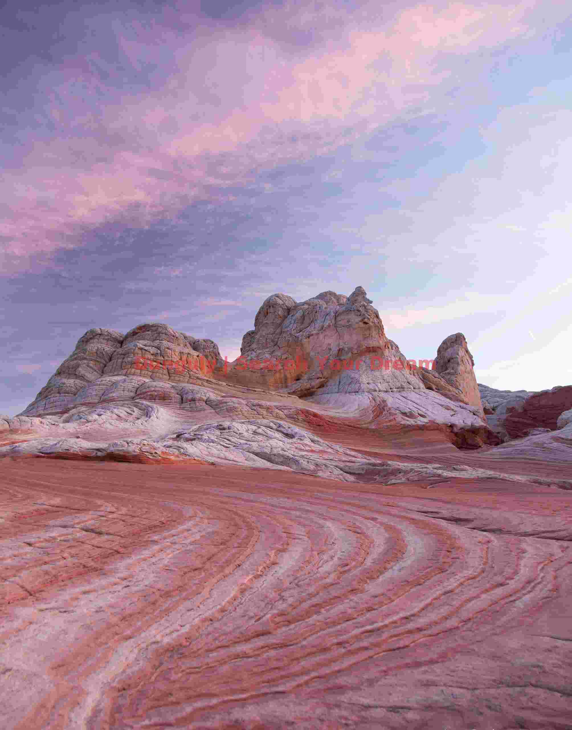 Diverging swirls - White Pocket - Arizona