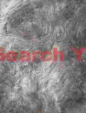 Wood Texture Abstract Study