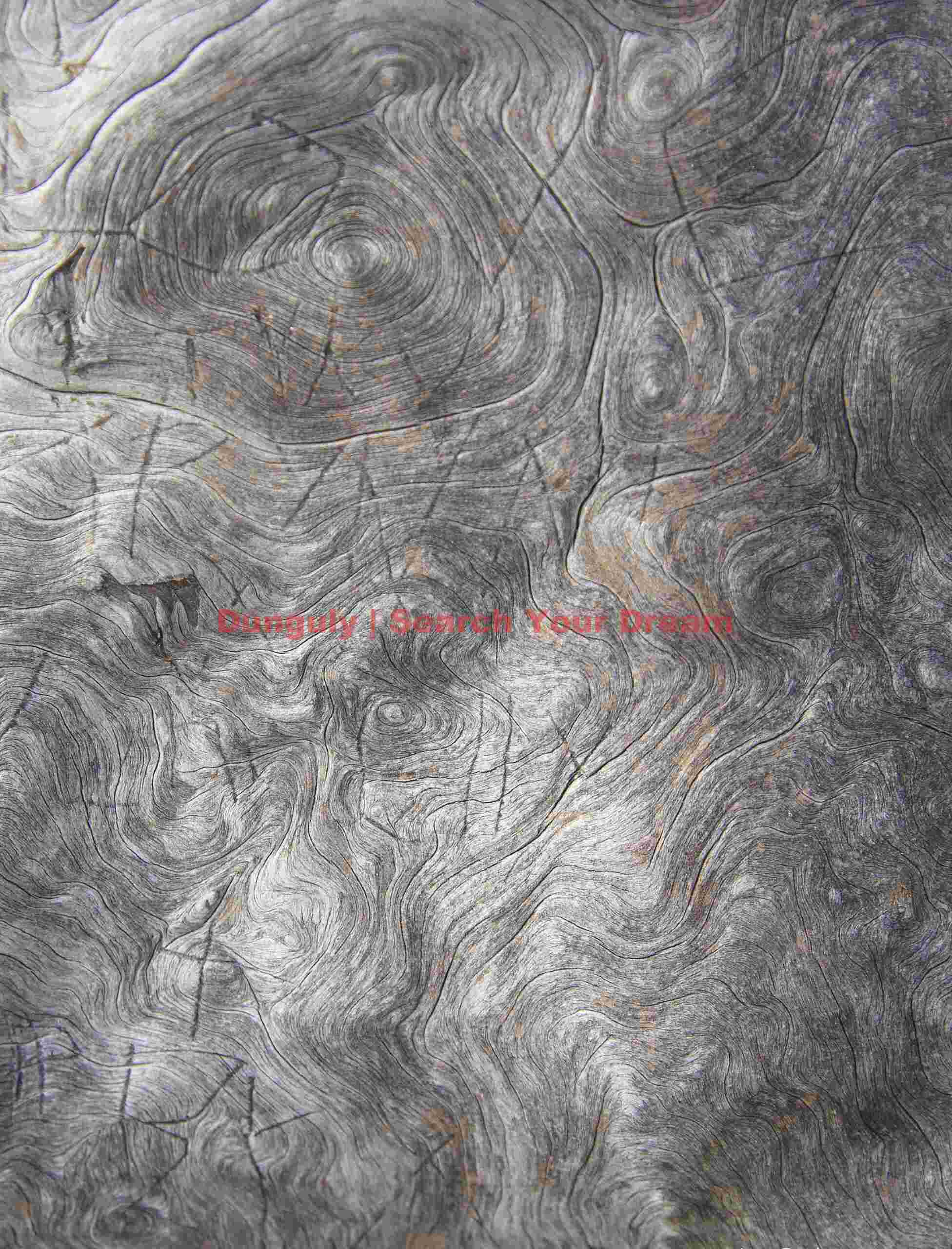 Wood Texture Abstract Study