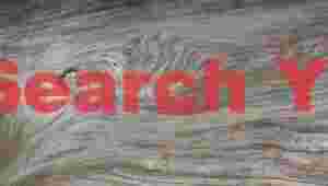 Timber Pattern Study Two