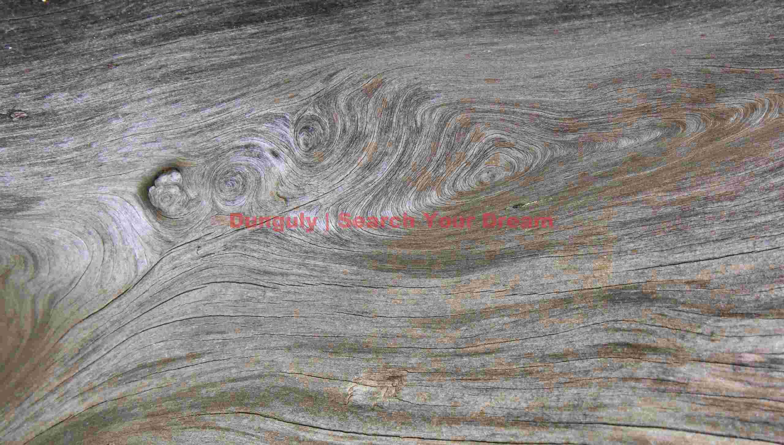 Timber Pattern Study Two