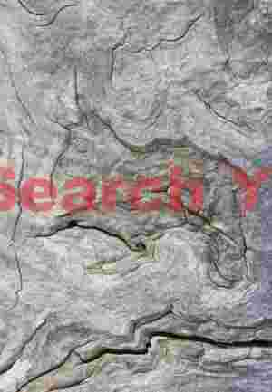 Weathered Wood Art Three