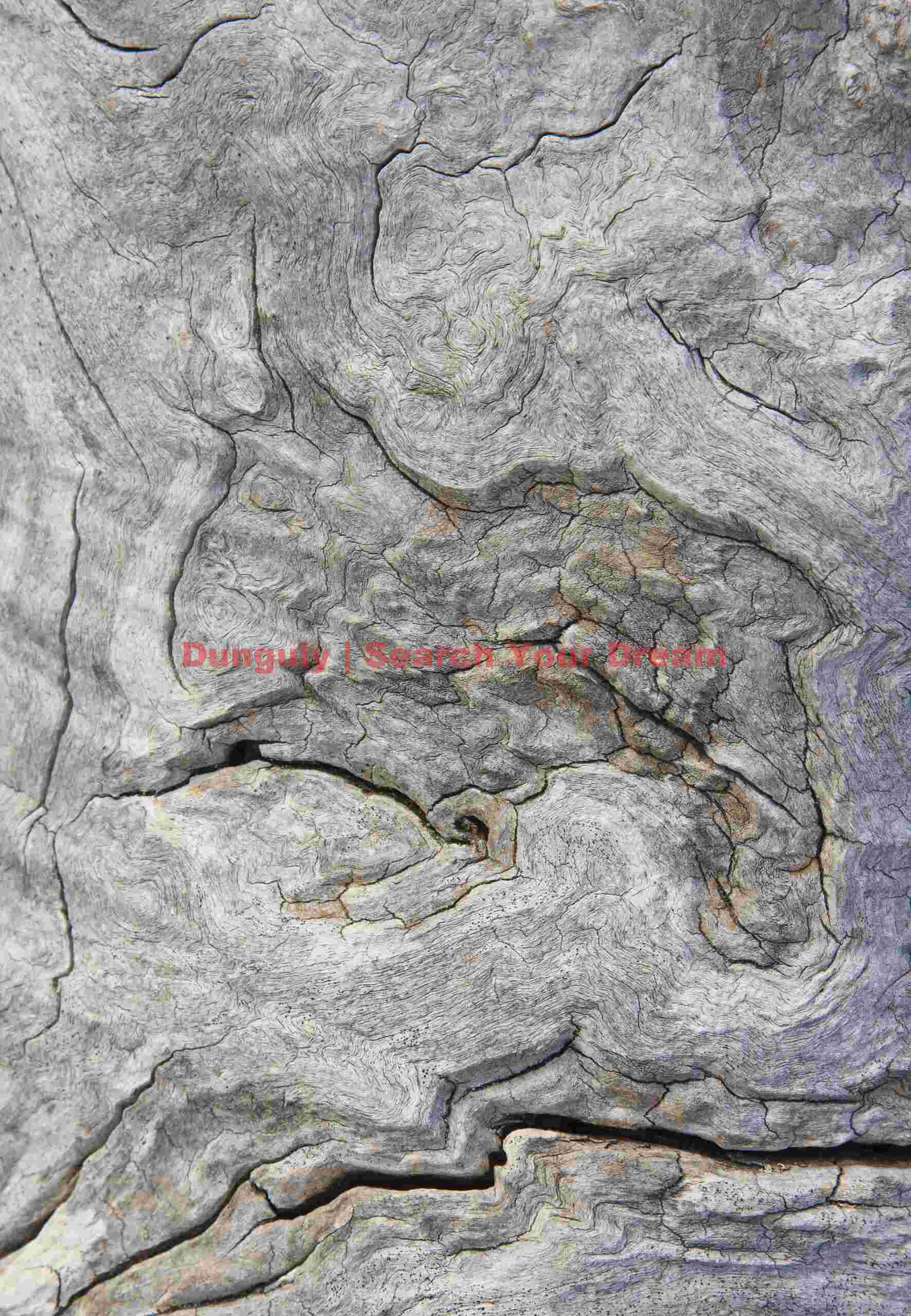 Weathered Wood Art Three