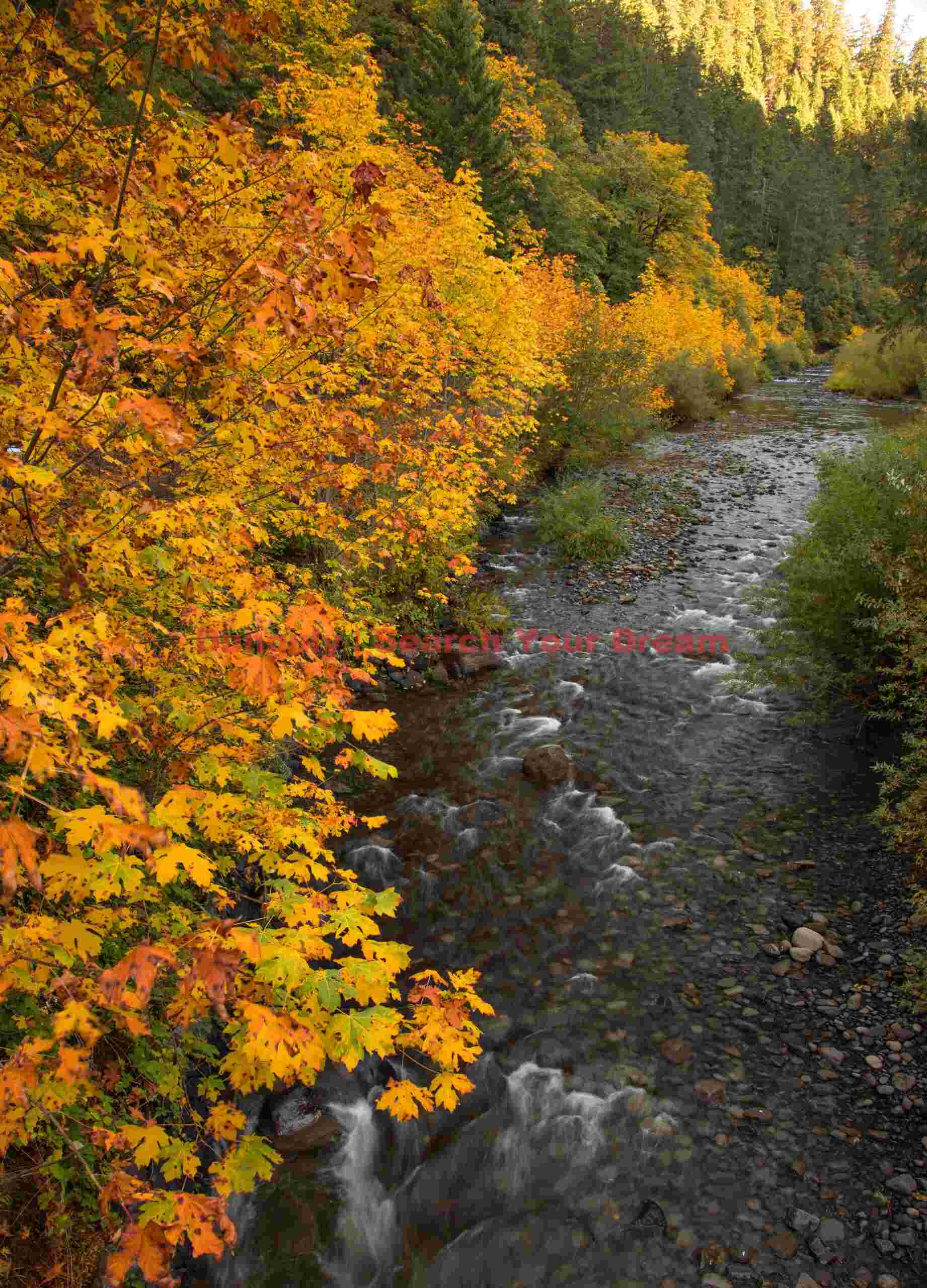 Eagle Creek, Columbia River Gorge, Oregon