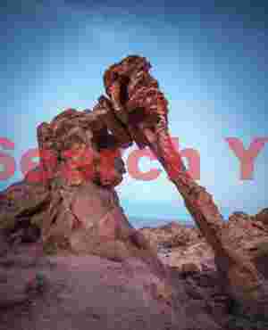 Elephand Arch during the blue hour - Valley of Fire