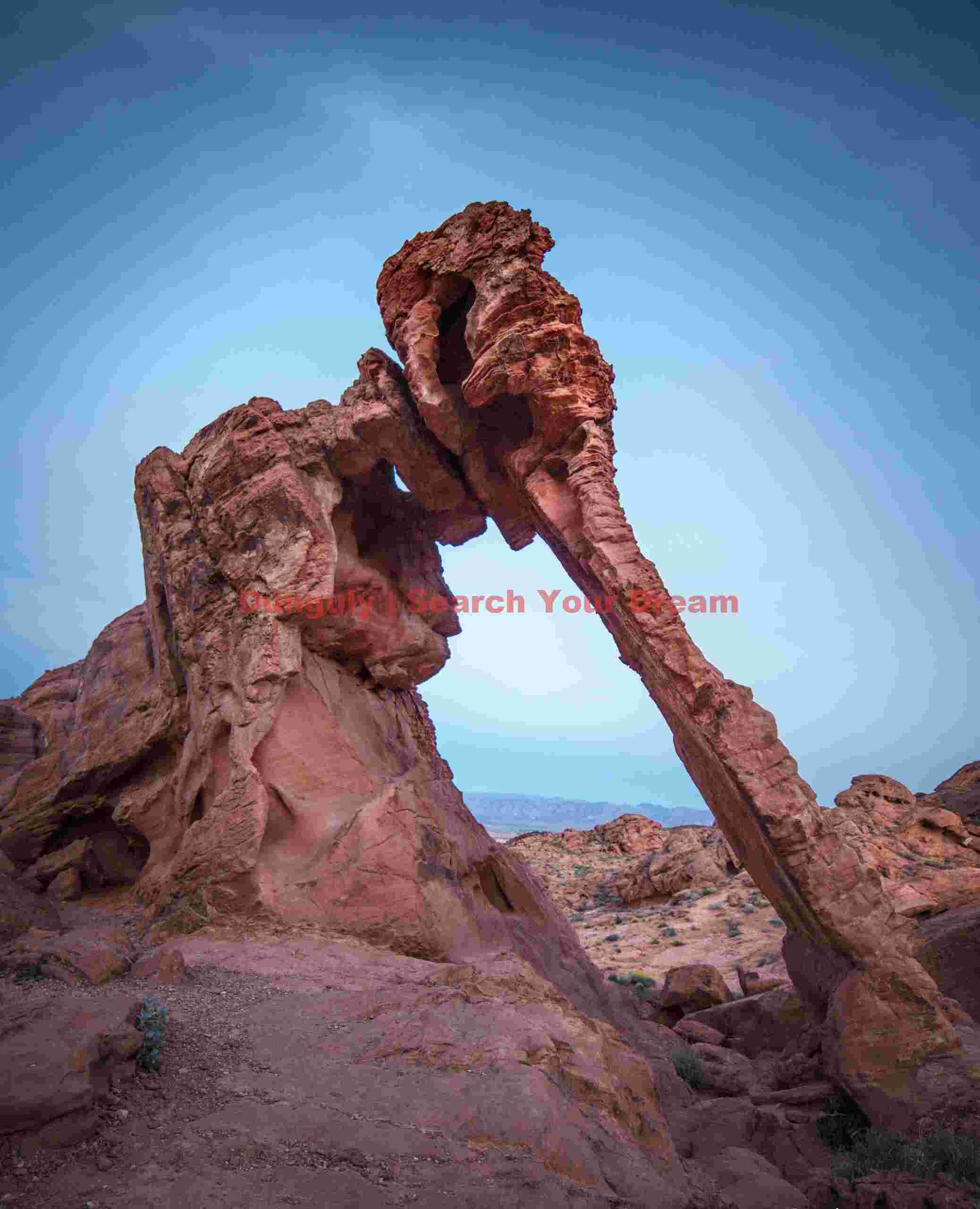 Elephand Arch during the blue hour - Valley of Fire