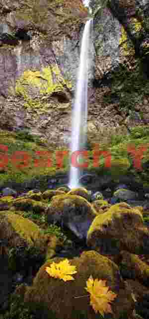 Elowah Falls Vertical Pano, Columbia River Gorge, Oregon