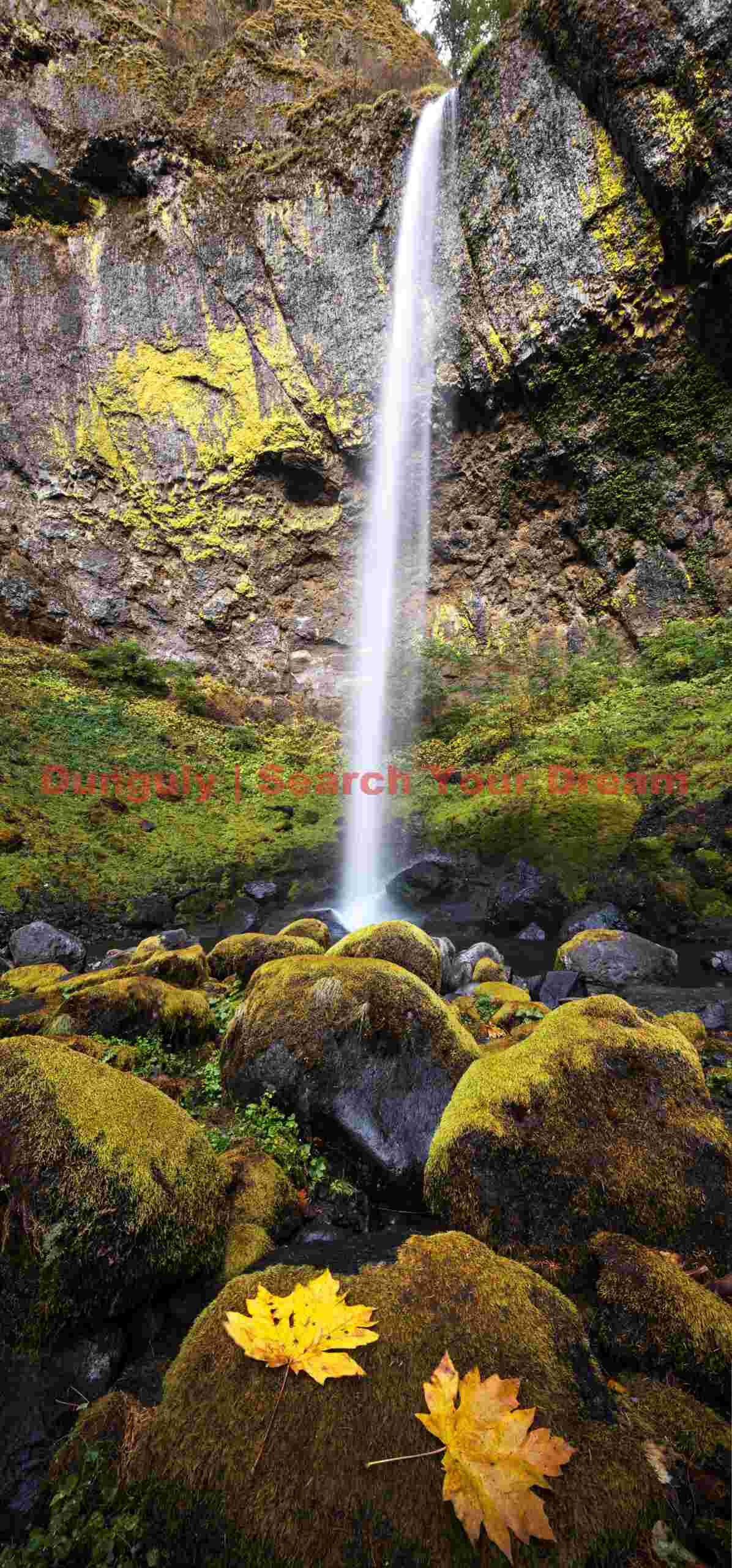 Elowah Falls Vertical Pano, Columbia River Gorge, Oregon