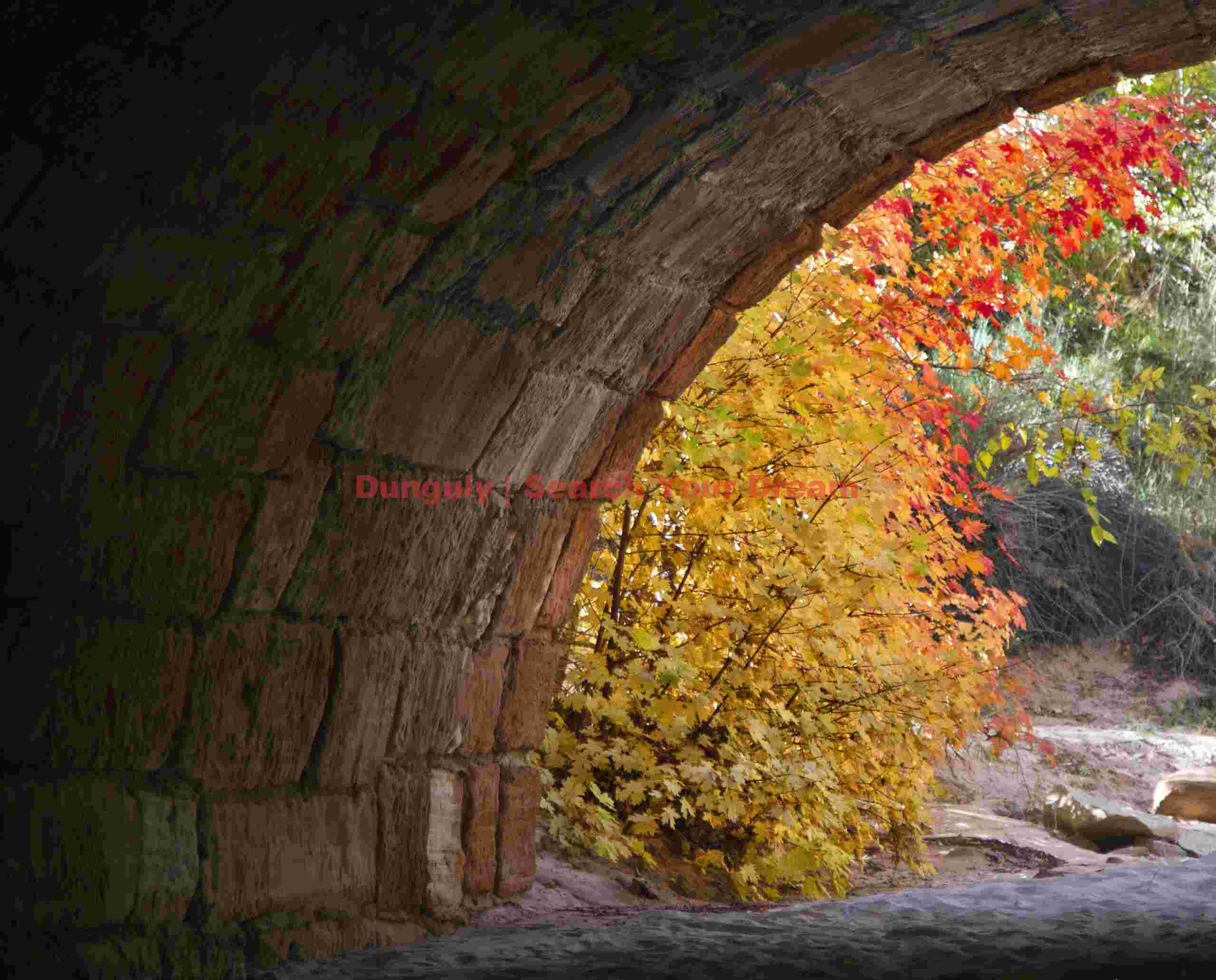 End of the tunnel, Petroglyph Canyon, Zion National Park