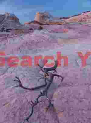 Fallen branch and brain rock - White Pocket - Arizona