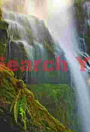 Fern-Framed Waterfall Detail