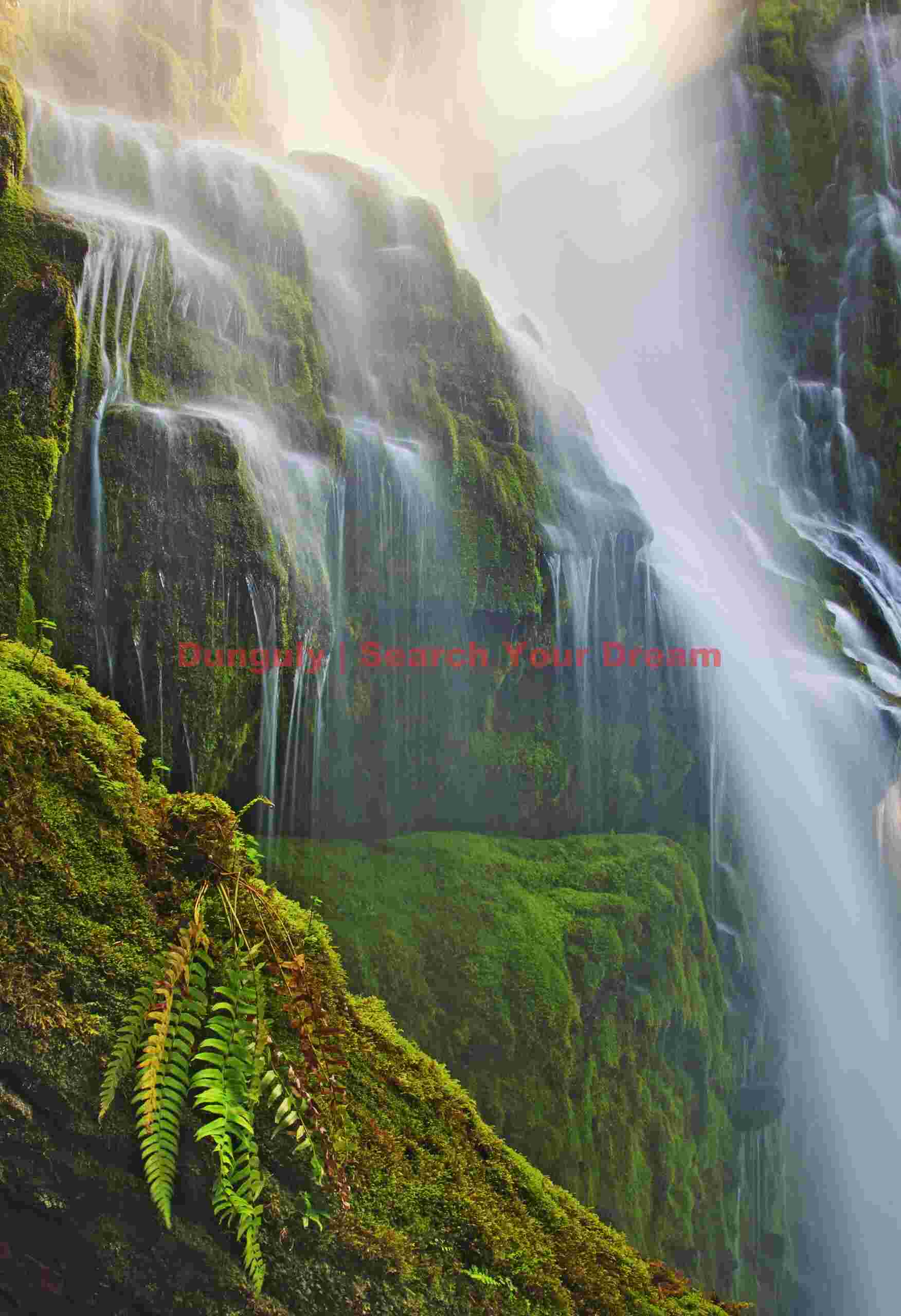 Fern-Framed Waterfall Detail