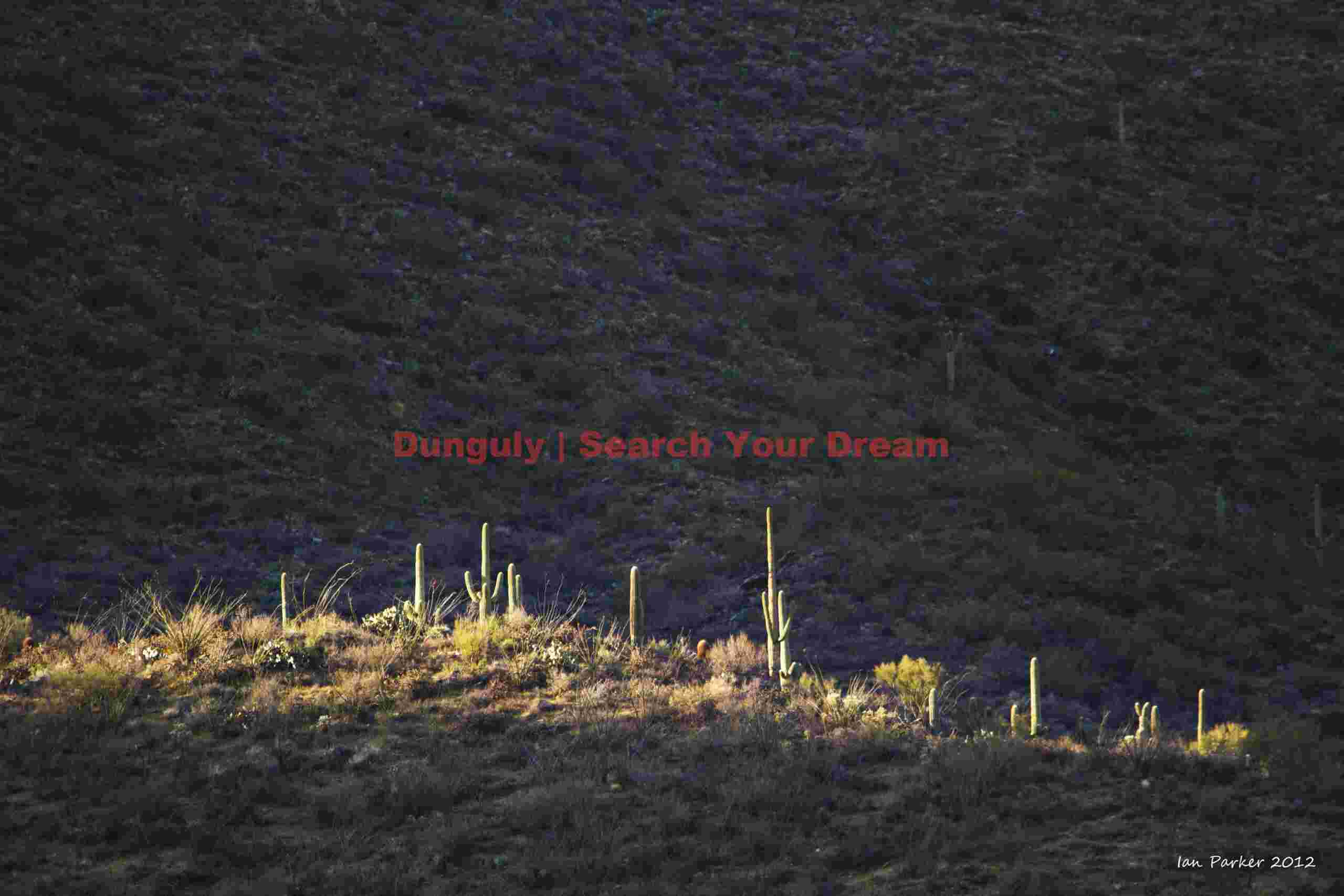 Dawn's Desert Symphony