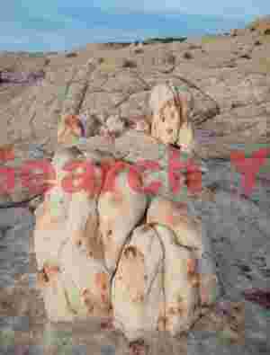 Whimsical Stone Sculptures