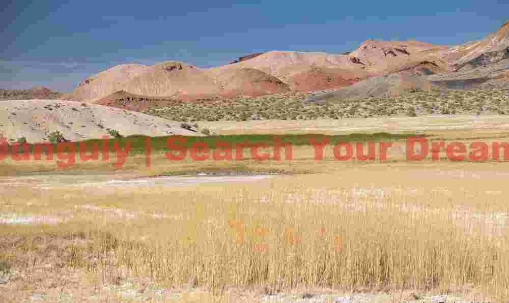 Gap Spring - Water Feature in Emigrant Peak Landscape