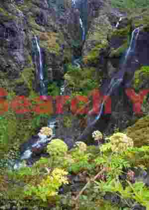 Glymur - tallest but not the most photogenic waterfall in Iceland