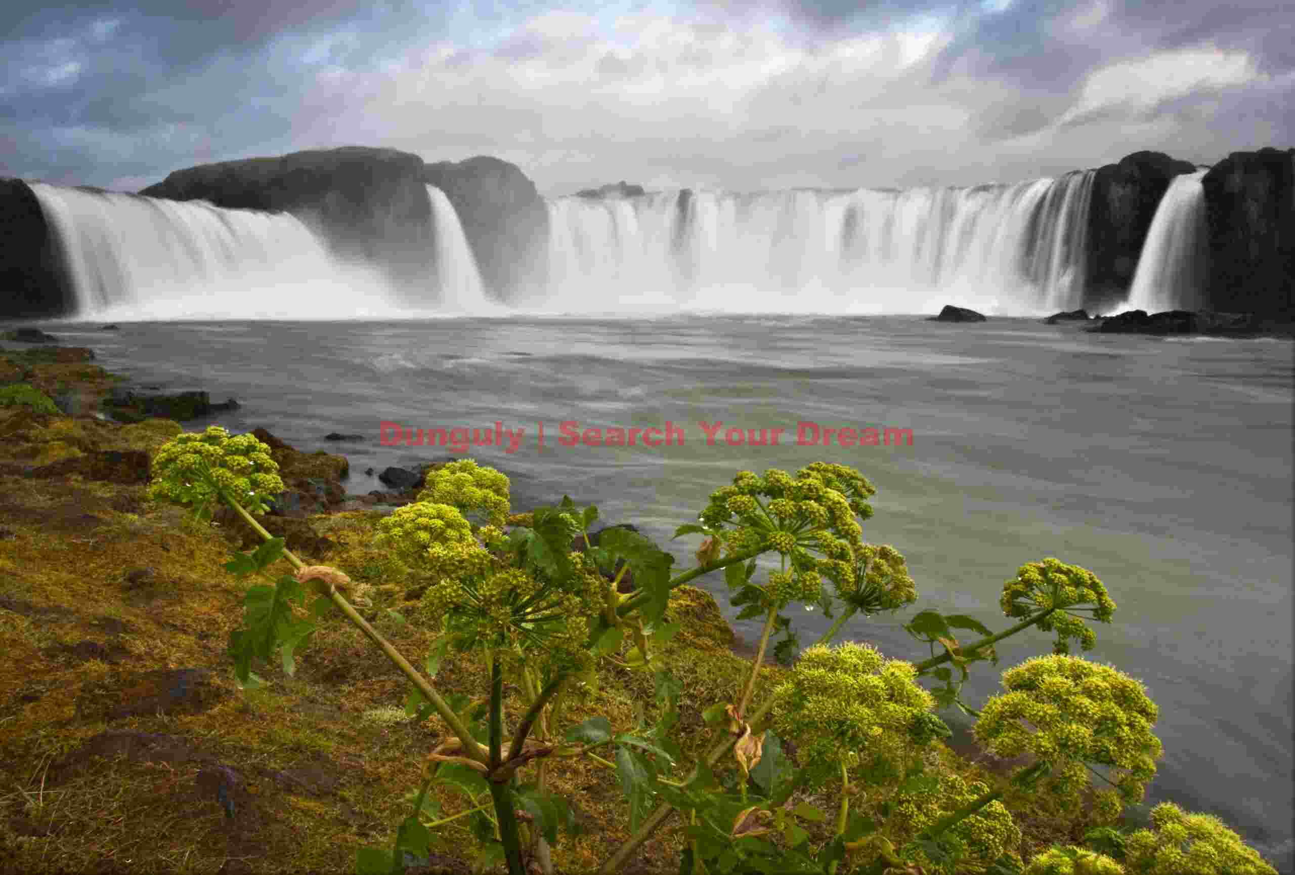 Godasfoss and angelica #1