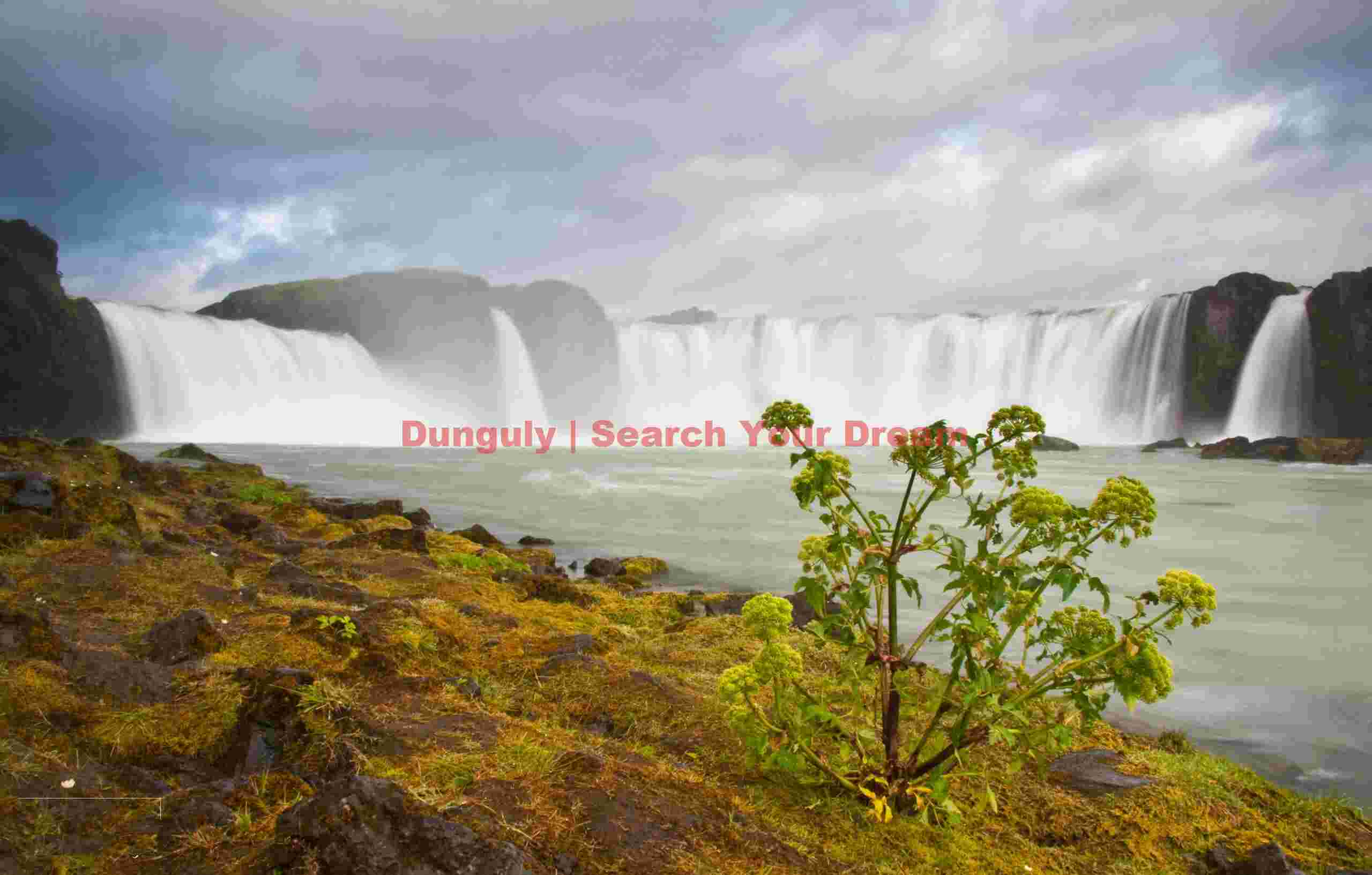 Godasfoss and angelica #2