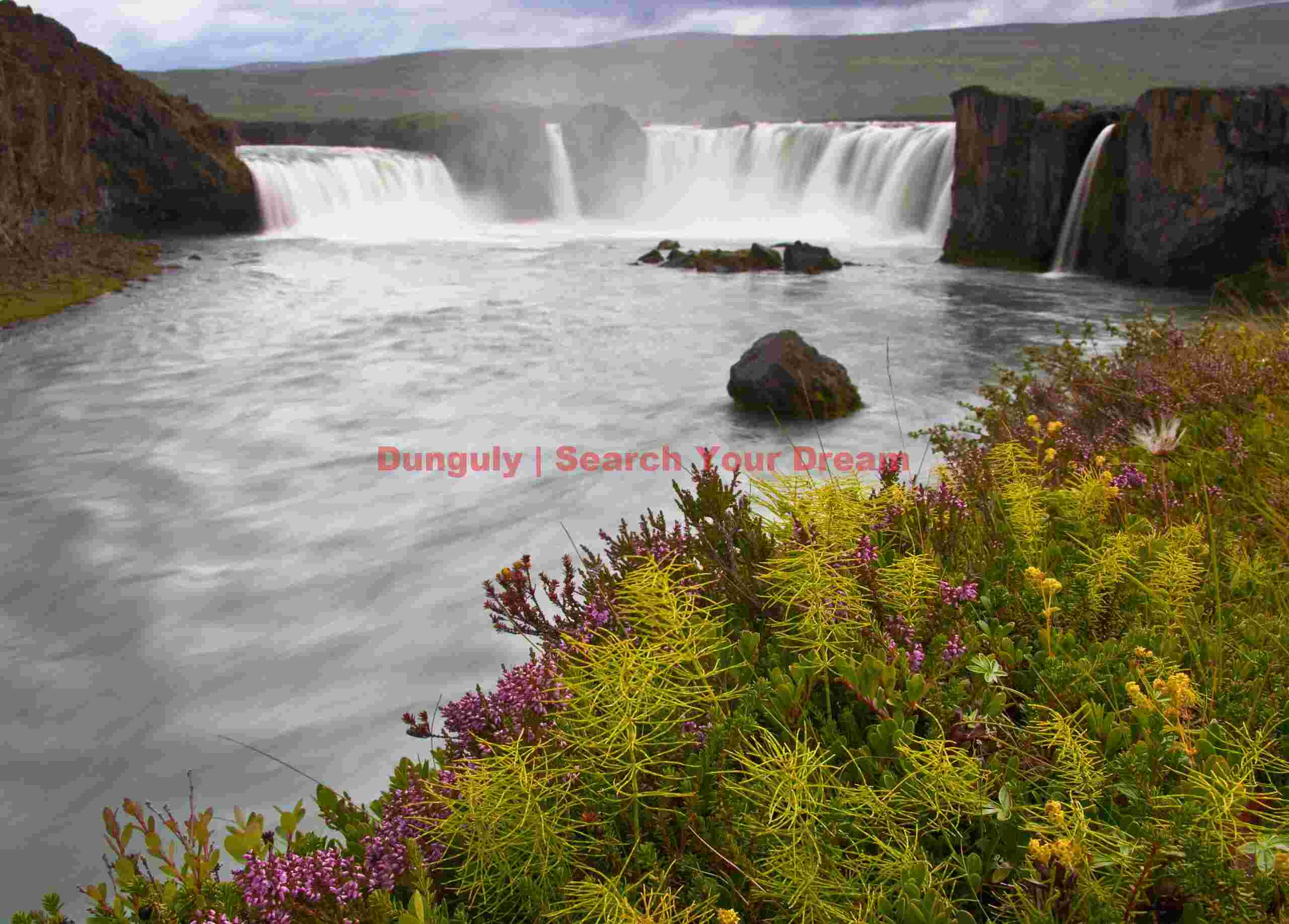 Godasfoss greenery