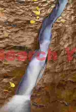 Golden Hour Waterchute - Liquid Sunlight